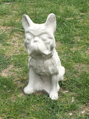 Bulldog | Concrete Bird Baths, Benches, Angels, Religious Statues ...